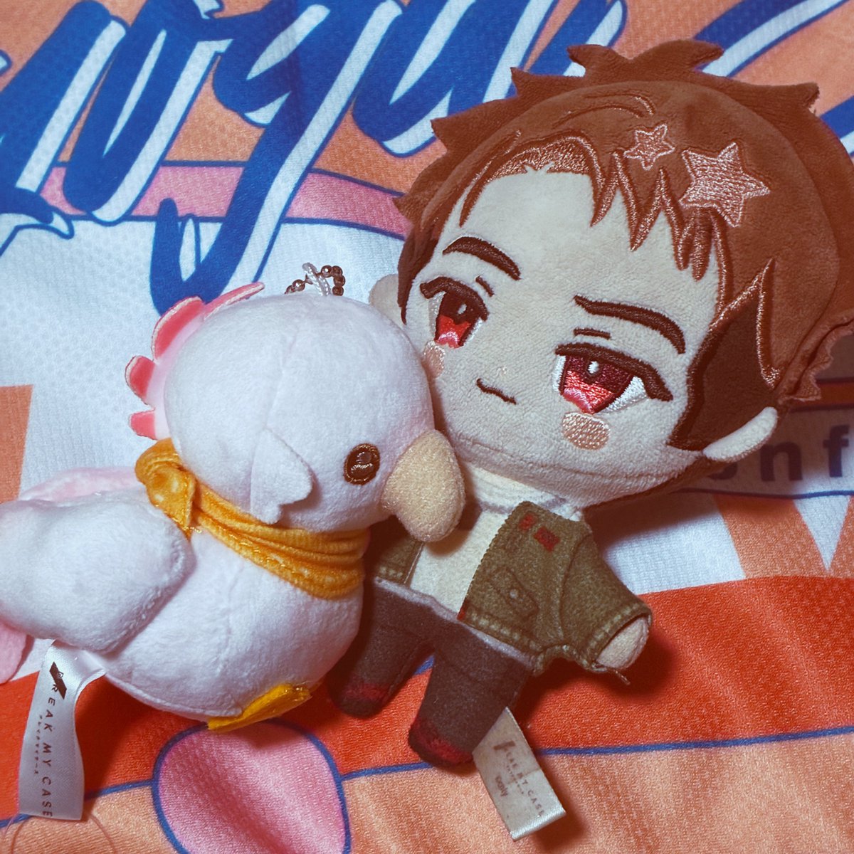 aion4102lite's tweet photo. レアくんのぬいキーホルダーをお迎えしました🍖
うきうきマリンやカンファレンスのグッズと共に到着。
これからよろしくぅ

 #SPINNIESスナップ https://t.co/FIpQqvnAtJ