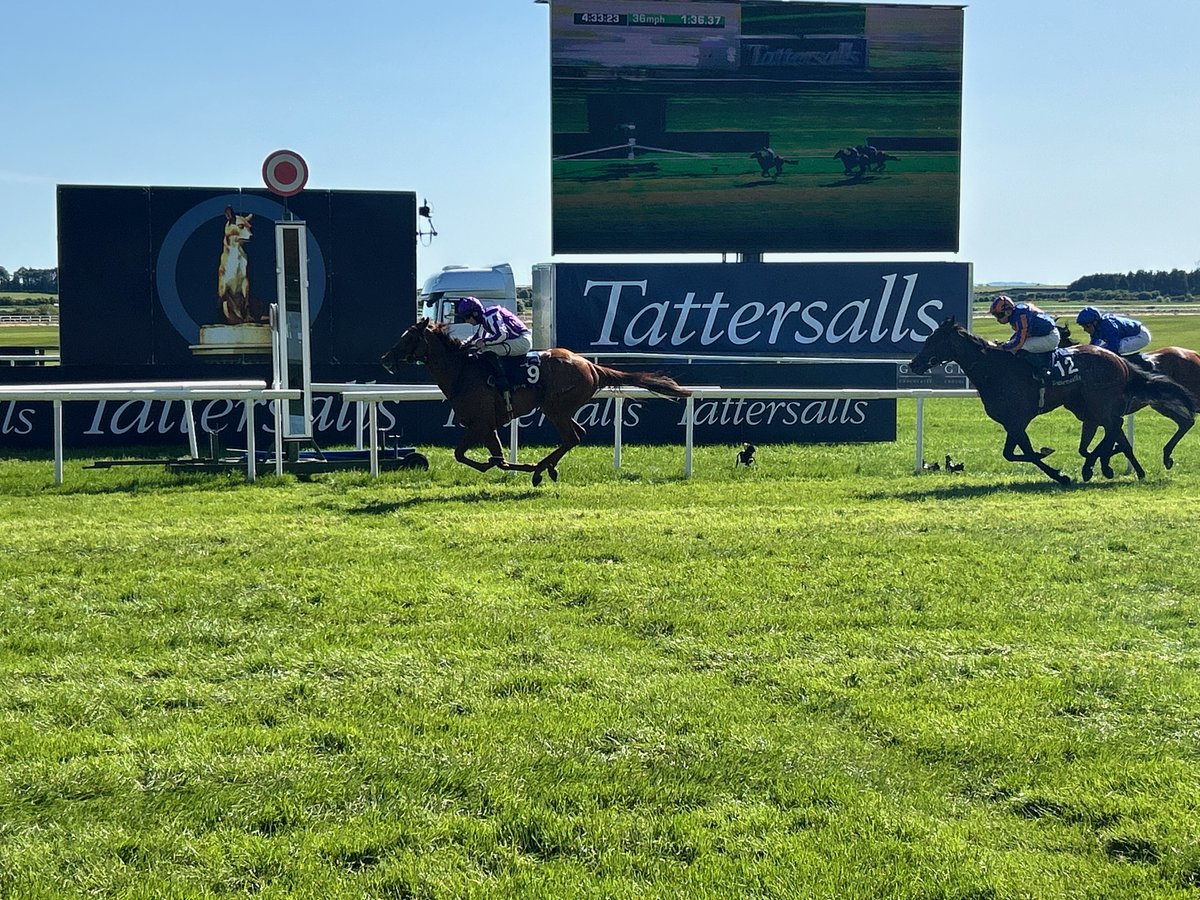 patternracing's tweet photo. Prix Rothschild – Fonds Européen de l’Elevage – World Pool By PMU (Group 1) 

Four travel to take on four French mares in the Prix Rothschild at Deauville. The Travellers…...

https://t.co/KJDaUcbgRb 

@fgdeauville @francegalop @WorldPool @AtTheRaces https://t.co/bbcRJETOrk