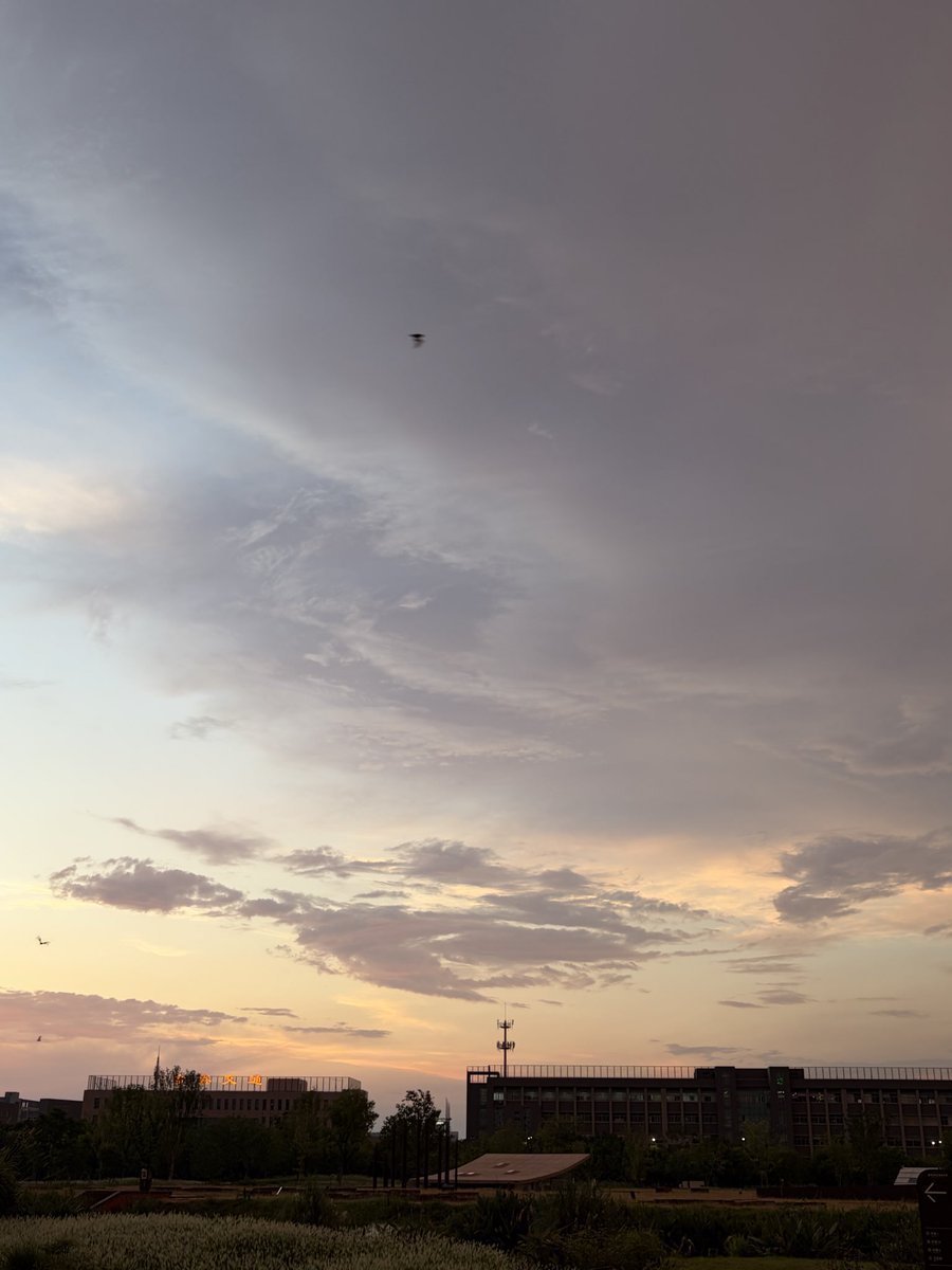 eoobird's tweet photo. 积雨云 https://t.co/nvJXHp1lAx