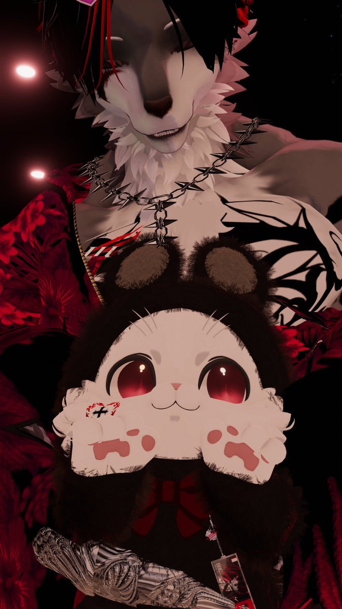 chamio3030's tweet photo. あるじに人間の姿バレてまずい
くうにゃんです☆ https://t.co/rvMGddVVdS