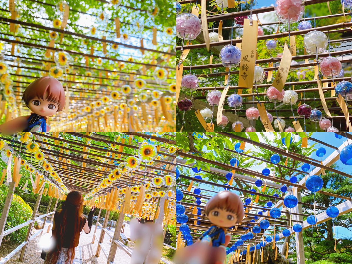 Ryoh0506k's tweet photo. 𝐒𝐮𝐦𝐦𝐞𝐫 🤍🌺*･ﾟ
毎日暑くて溶けそうやけど
推しと周りに支えられながら
夏楽しんでる！🫶🌻☕️🍈🎇🎐💞

ちゃっかりみる活🐄⸒⸒💞
2場所花火巡りしてきた🍼🩷♥️
めっちゃ綺麗やったなぁ(∩ˊ꒳​ˋ∩)🎇 https://t.co/ushxfjFobT