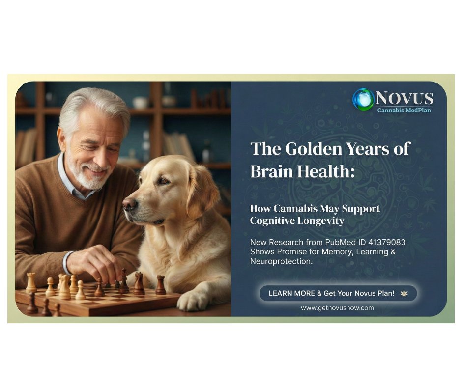 Cannabis Health Plans For Ailments tweet media