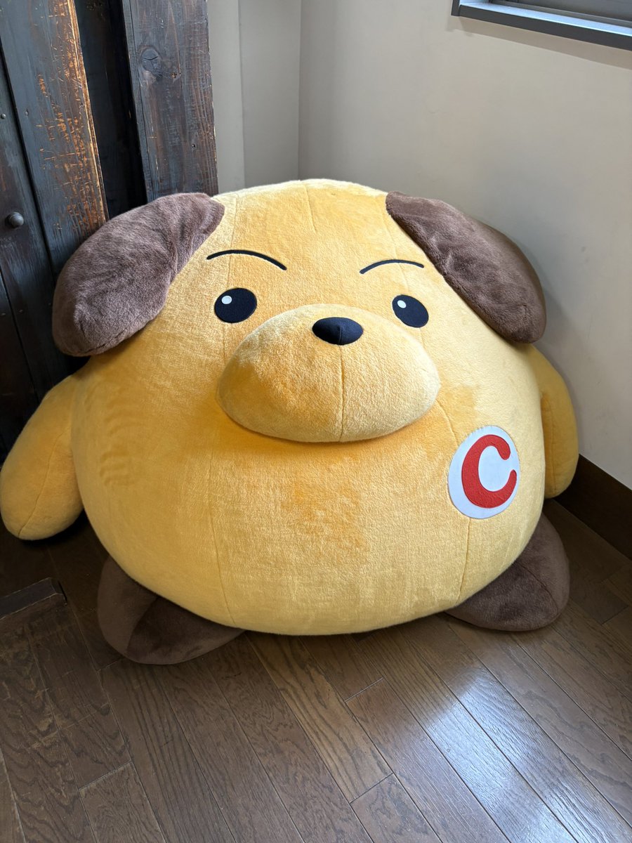 N1A_ib's tweet photo. コイツ愛おしすぎる　ミームで見る見た目 https://t.co/AOPbM1vEwy