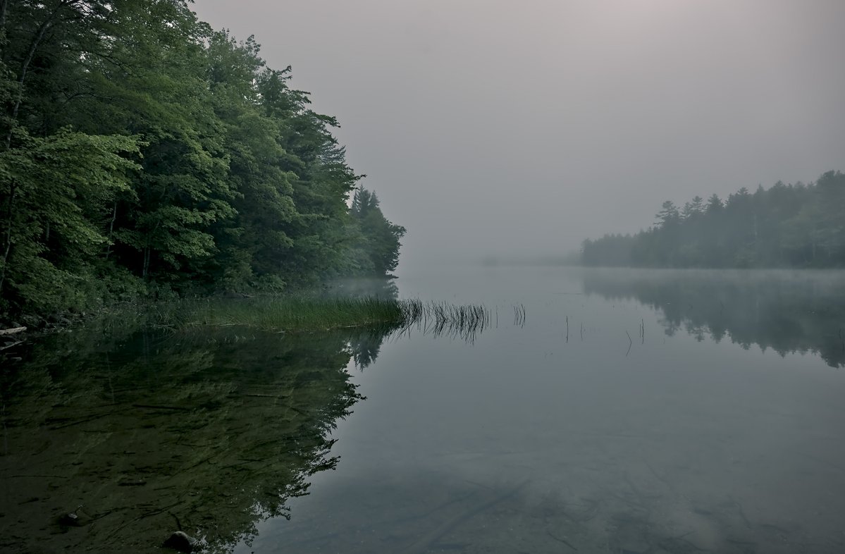 HipExplorer's tweet photo. I poured a cup of coffee, grabbed my camera, and headed out without much of a plan.

Before I knew it, I was standing at the edge of Knight Pond, watching the fog drift across the water. There wasn't much to hear besides a few birds and the occasional ripple on the surface. https://t.co/3hK0NHKtXg