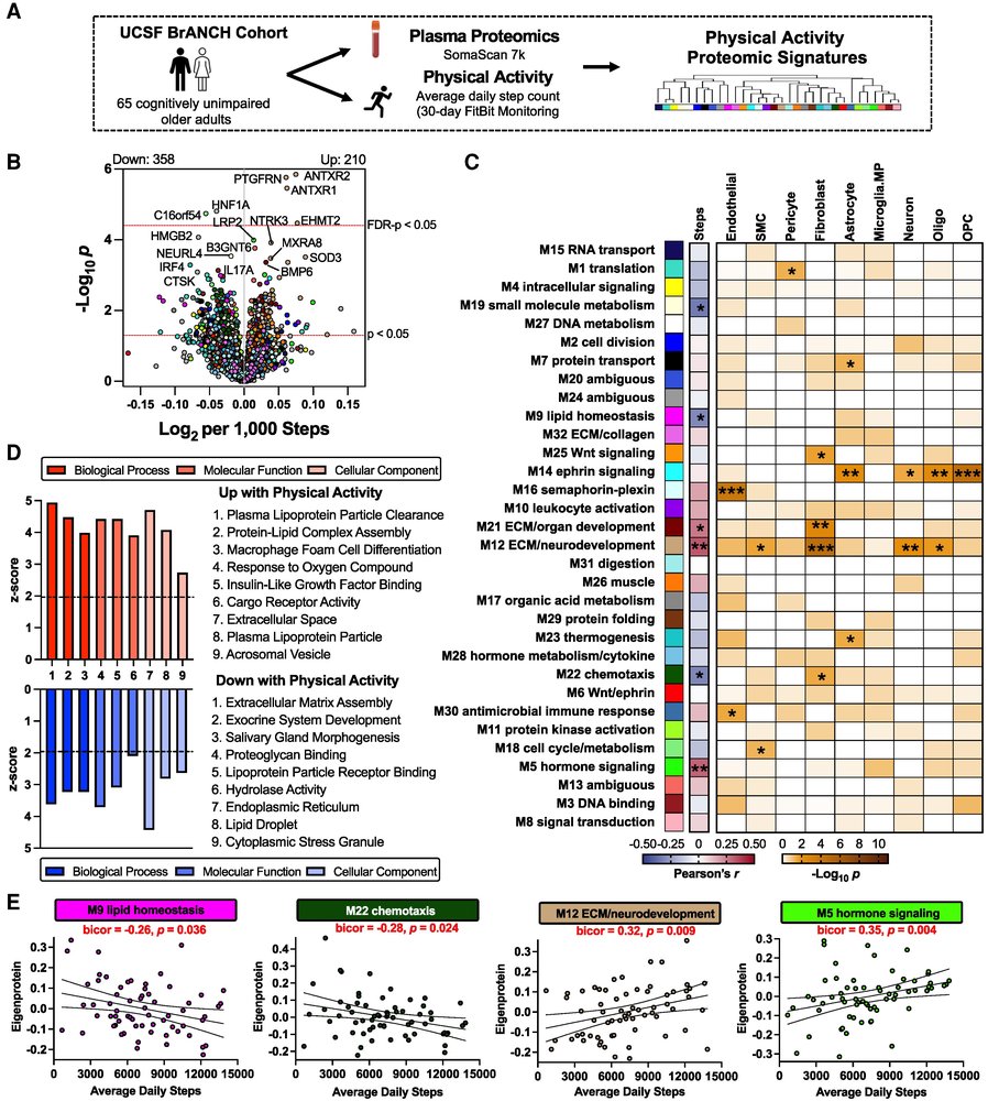 The Science of Parkinson's tweet media
