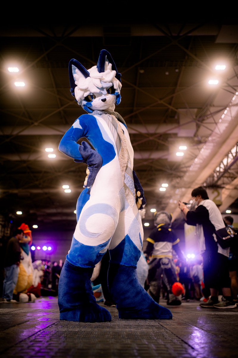 Rigelfoxy tweet picture