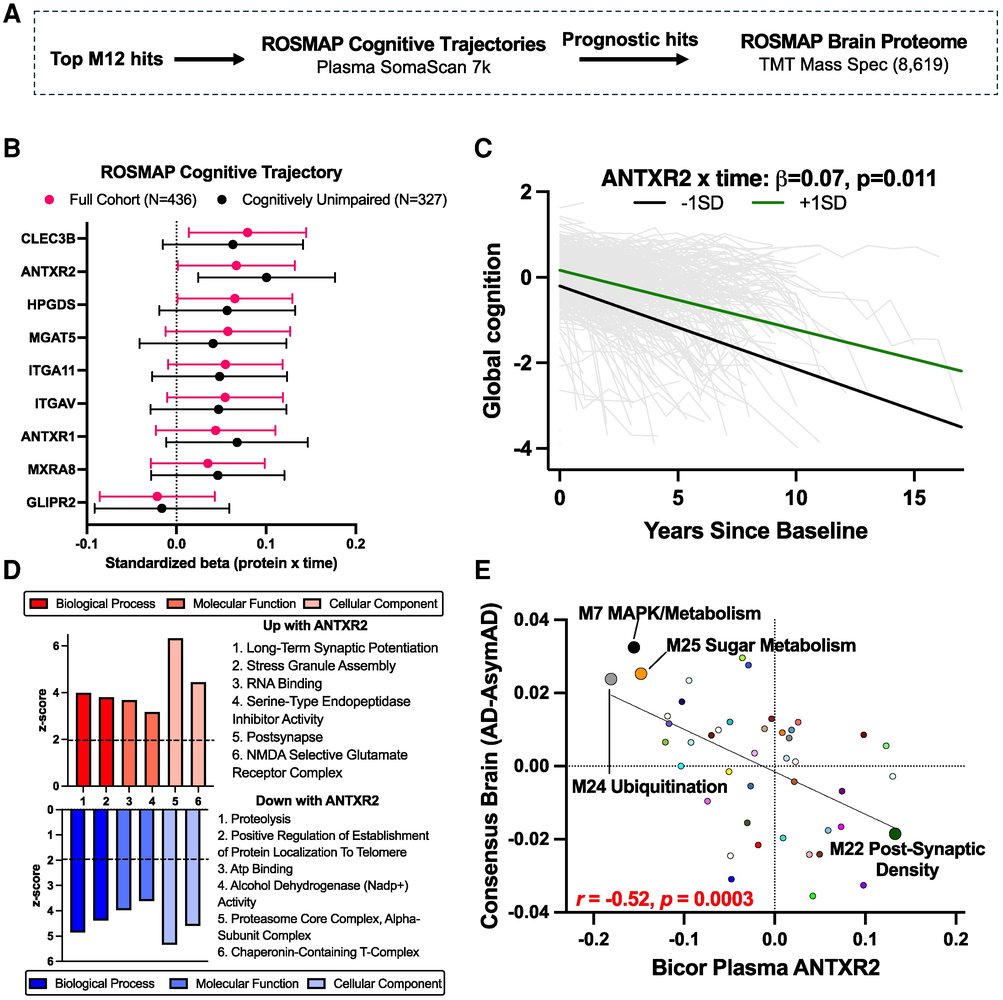 The Science of Parkinson's tweet media