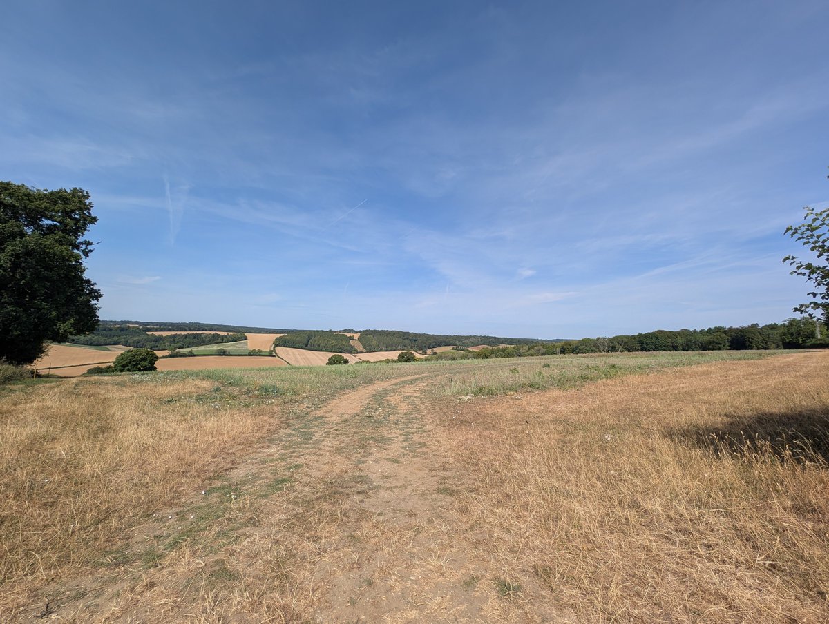 Peterkweedon's tweet photo. Exhilarating 2 and half hour walk along three hills on the Chilterns https://t.co/l3yvYKmyF6