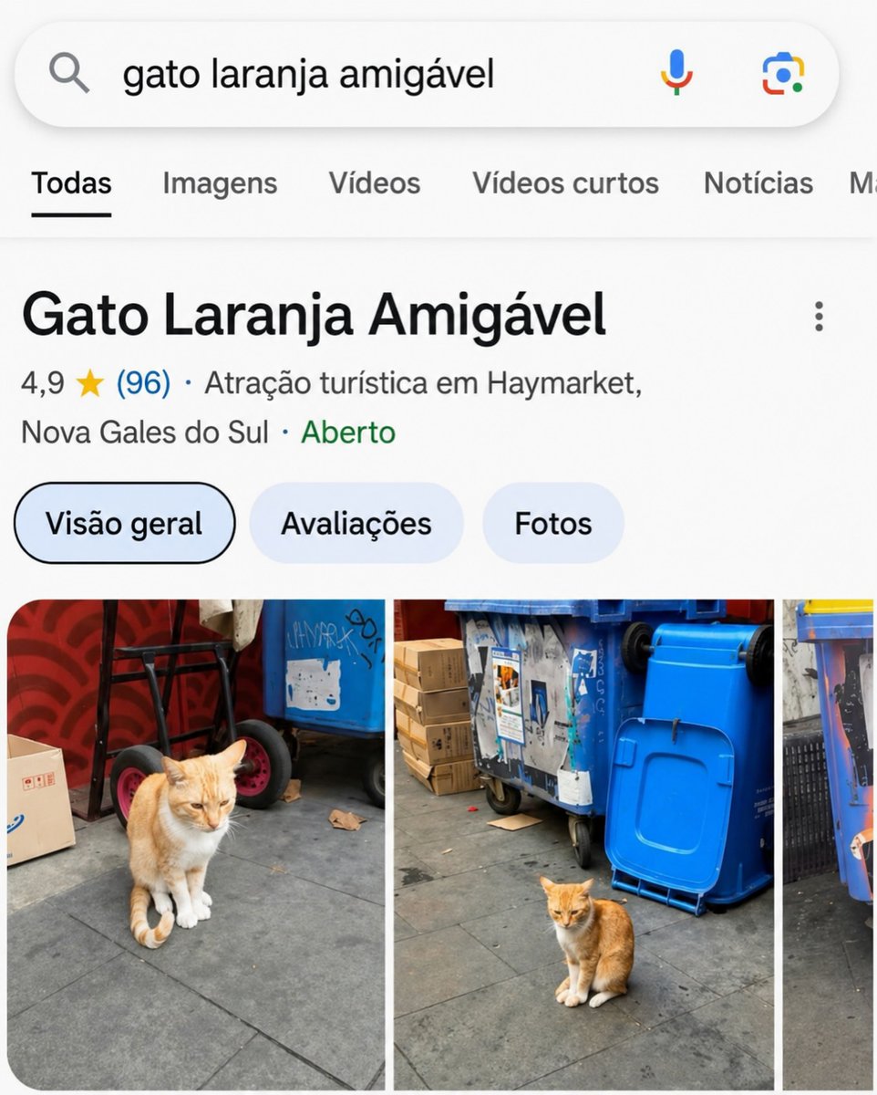 AcervoCharts's tweet photo. Gato laranja amigável vira atração com 4,9 estrelas no Google. https://t.co/oIyt390UQM
