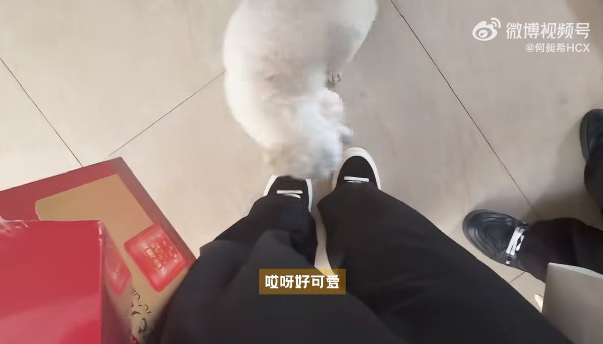 Daisylips10's tweet photo. I spent this entire vlog feeling like i was the one about to visit my future in-laws.
From watching zz pick out gifts to the moment he stood in front of their house, i was so nervous the whole time😭😭

#xizhao #HeChangxi #HeYanzhao https://t.co/JPu1X4YPKv
