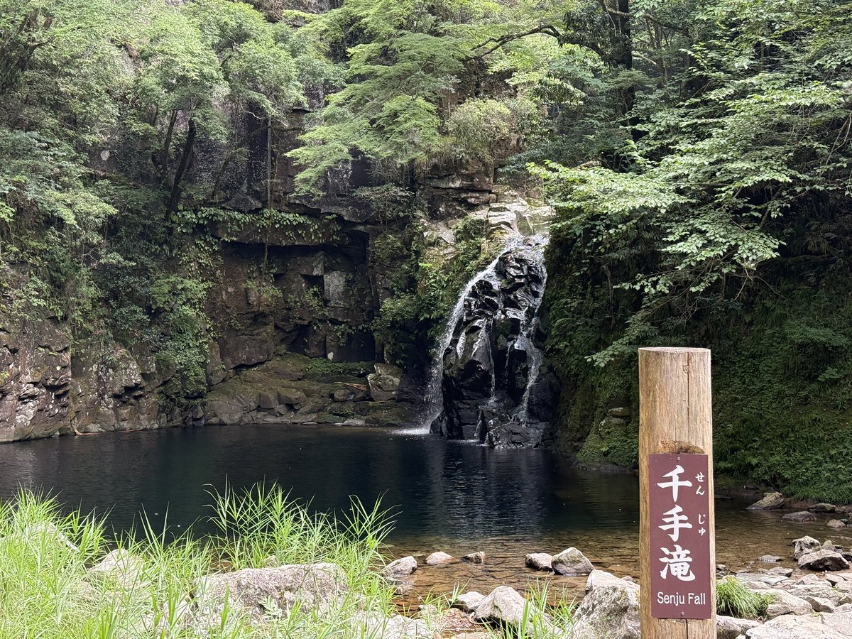 Levorg_wr's tweet photo. 今日は赤目、青山高原へ行って、納車3週間にて1000km達成！

来週1ヶ月点検でオイル交換をして、慣らし完了、4千回転〜のバランスドエンジの気持ちいいところをようやく解放 https://t.co/icyFukwsvD