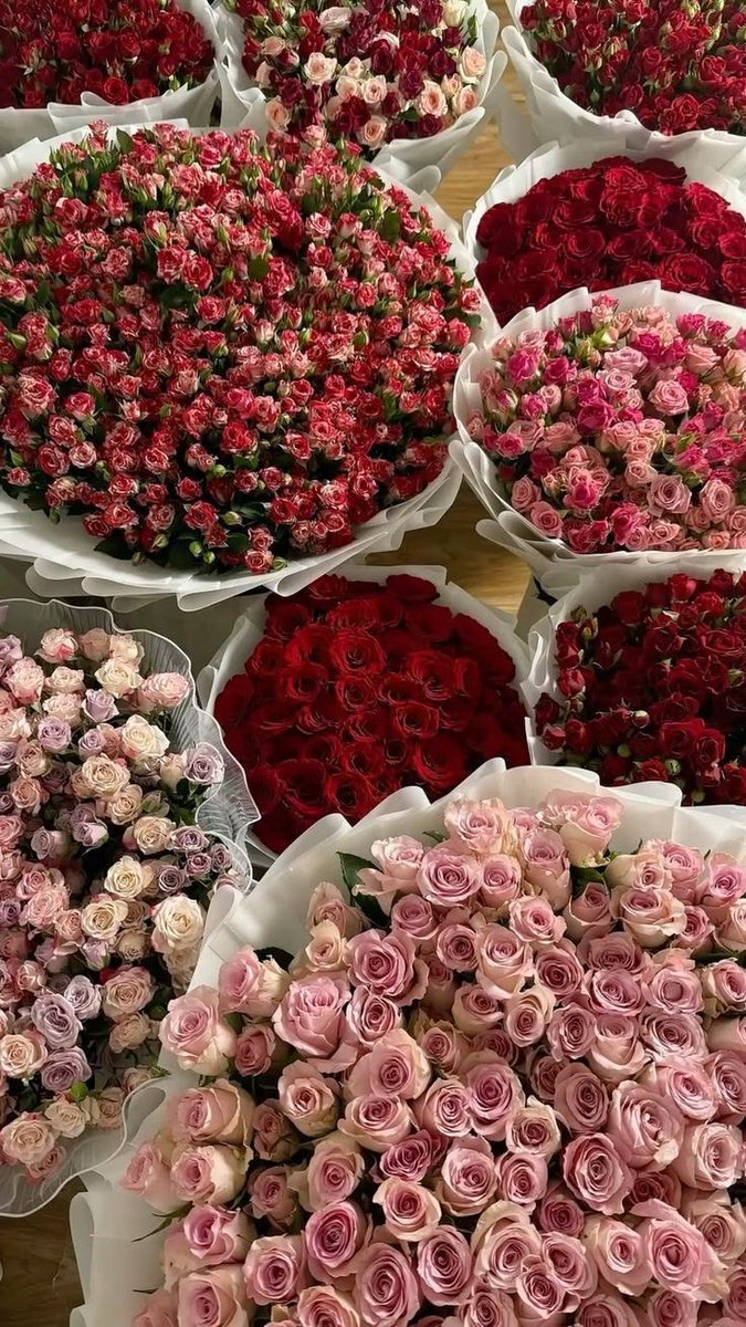 Liliestulipssss's tweet photo. https://t.co/wEH2OPgmB2