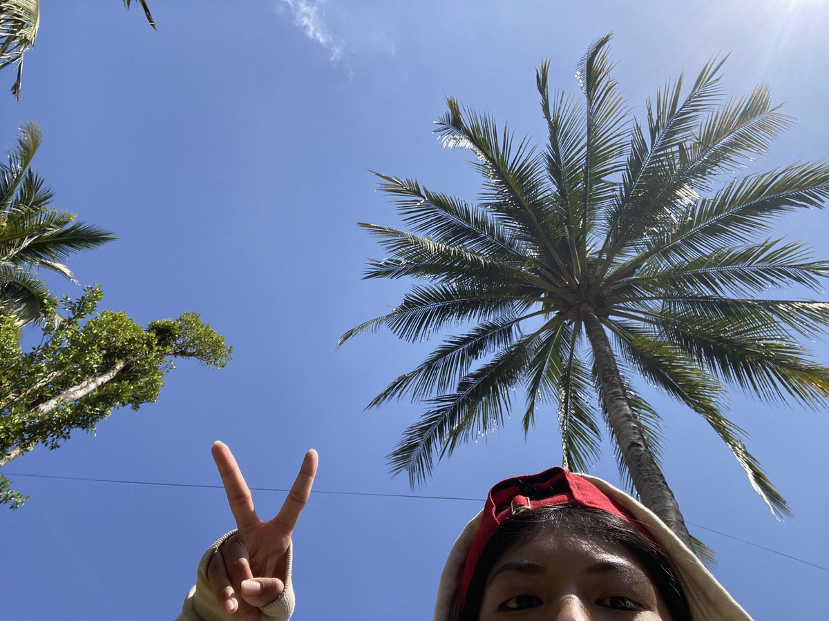 paintherest's tweet photo. holiday 🪸 https://t.co/g90Ird3DJf