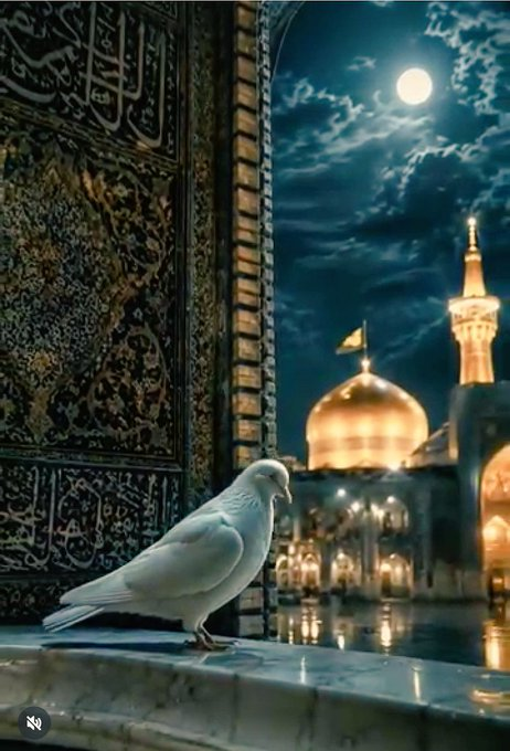 s9ja_9's tweet photo. اللهم صل على محمد وآل محمد وعجل لوليك الفرج السلام عليك ياضامن آهو ياعلي ابن موسى الرضا ياانيس النفوس مدد https://t.co/0B5uU7zGMN