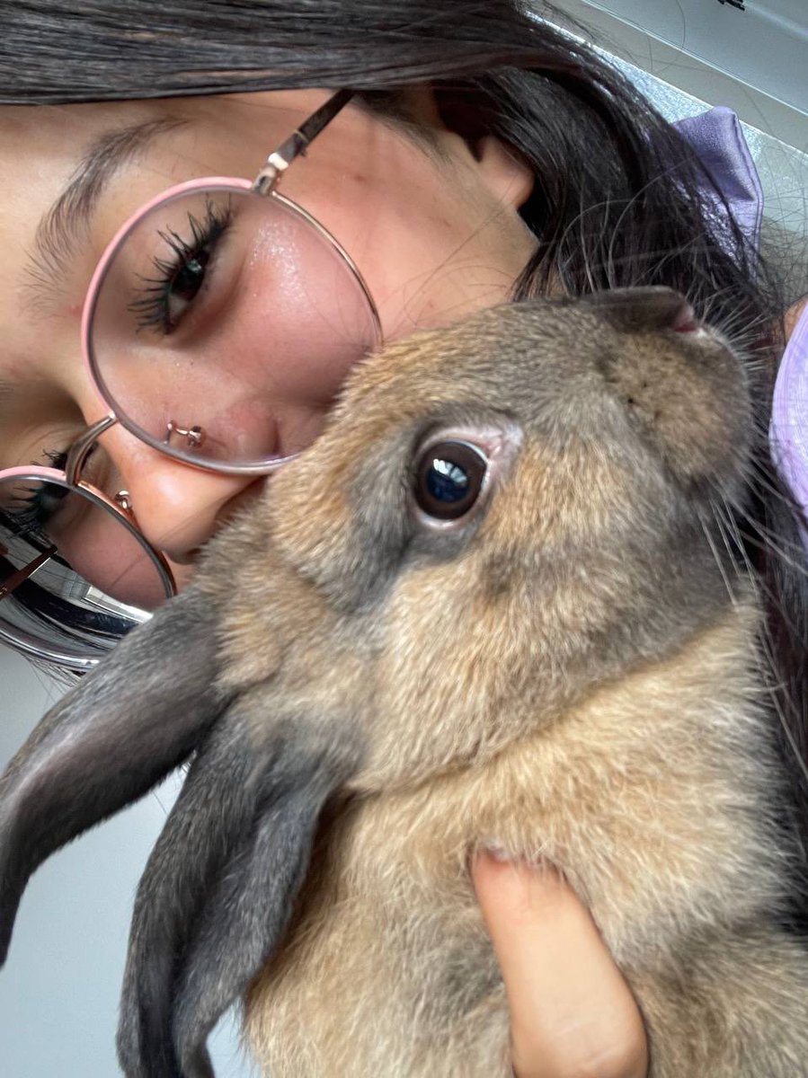 chokisbby's tweet photo. happy Sunday 🐰 https://t.co/hBns1FfFJm