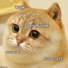 frz_crypto's tweet photo. ffs man i actually dont have enough $CATE

how am i feeling FOMO when im literally in the coin https://t.co/T0uEdgCA2J