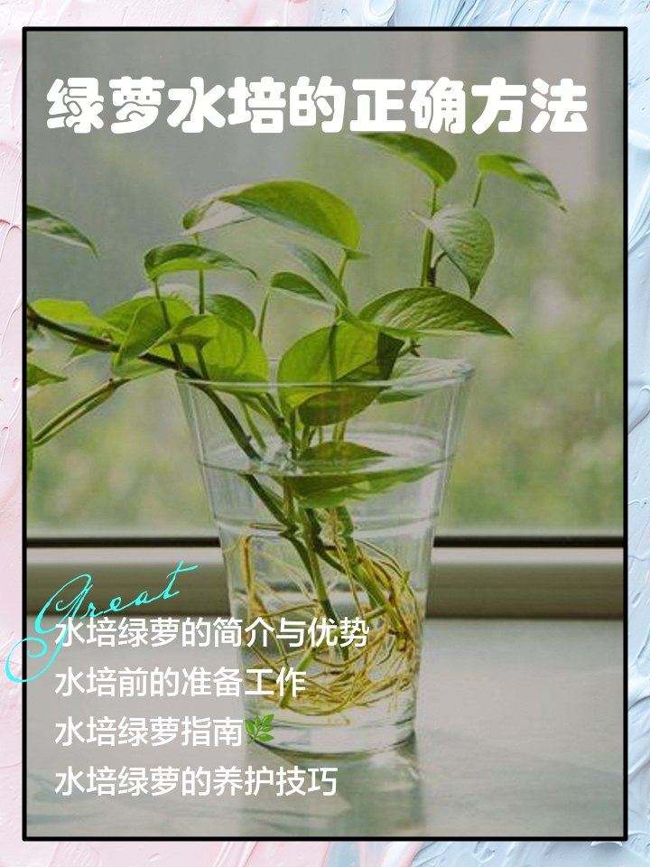 uilanikay's tweet photo. Pro tip for your pothos! Water once every 10-14 days, place in bright indirect light, and wipe its leaves monthly to keep it thriving. #PlantCare https://t.co/OJcPKPwoqV