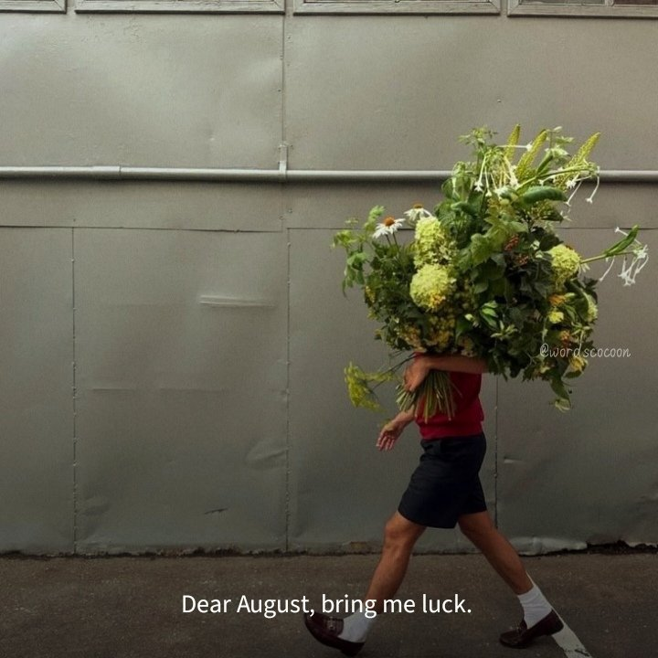 lovedropx's tweet photo. Dear August. https://t.co/iBIToq5I13
