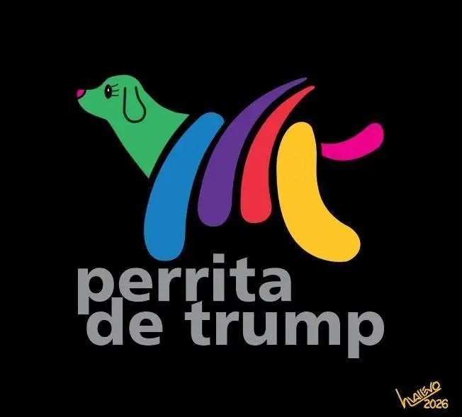 Sebas1300001's tweet photo. @RicardoBSalinas Vamos tio perrita, a que hora salen tus focas a hablar de la censura en USA. https://t.co/Y1YdnPyVs6