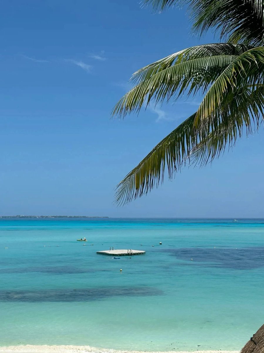 byyfish's tweet photo. 4° dia em cancún 🇲🇽 https://t.co/bJIIqbgSz0