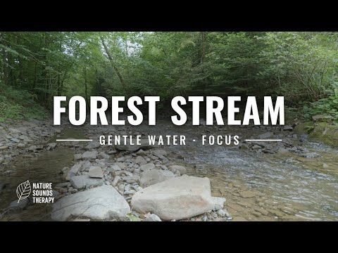 beerfest30's tweet photo. Need to focus but your space is too loud? Found a small stream in the Bieszczady that runs steady over rocks—nothing jarring, just even water noise that stays underneath everything. #fieldrecording #focusmusic

https://t.co/6mgUzMh0bj https://t.co/gQ2czFwqt5