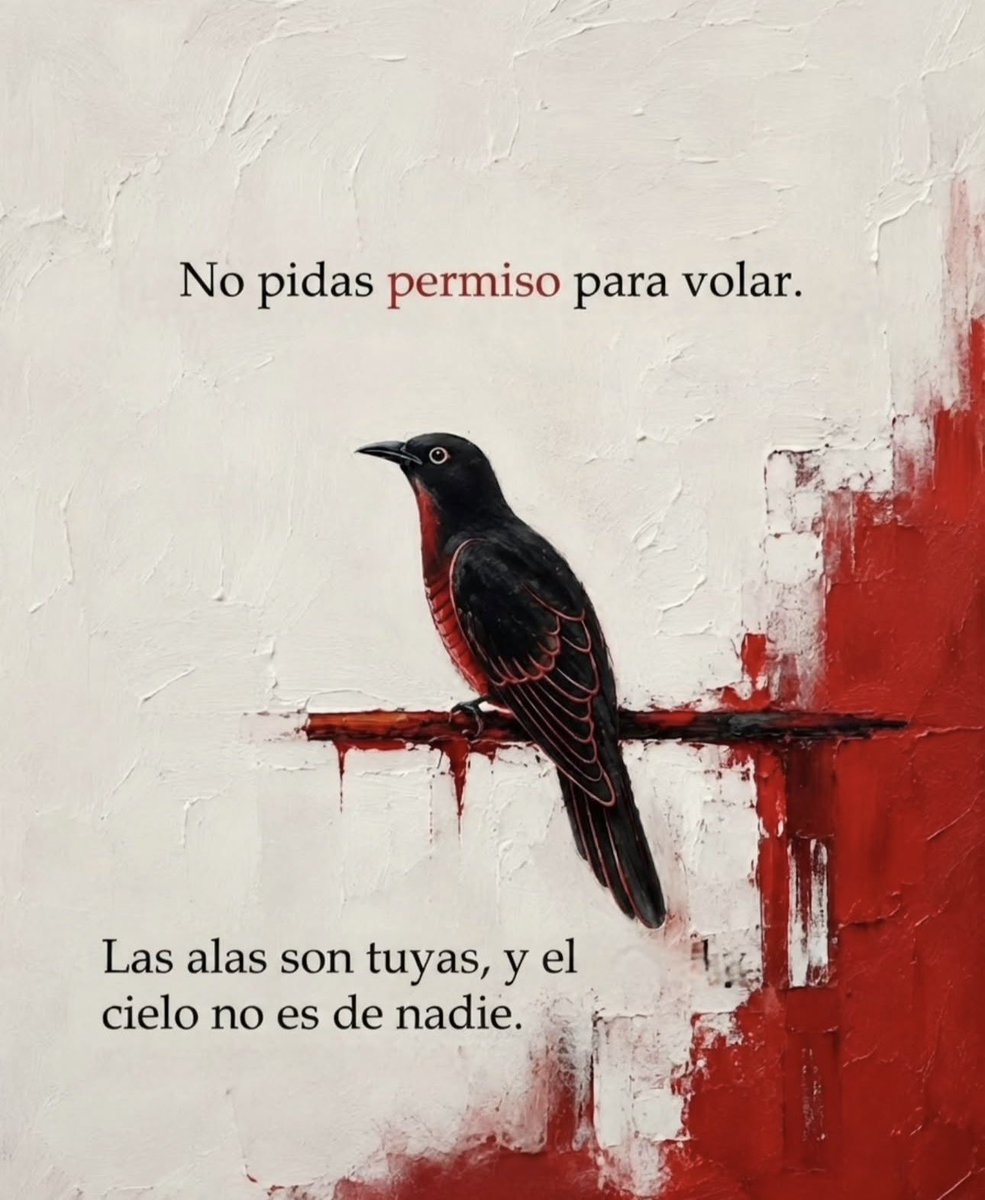 iqsolita's tweet photo. Que no te convenzan que no puedes… https://t.co/KdPjc114vi