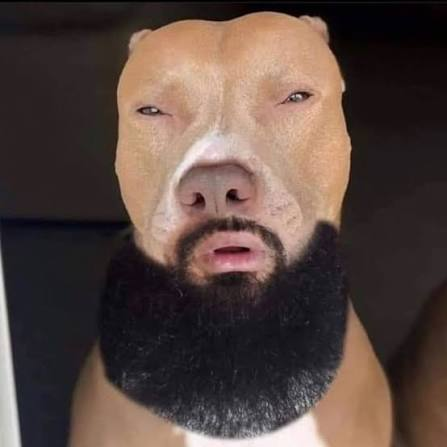 ciisesomalien's tweet photo. @LaPince97d regard de lightskin https://t.co/DTIAYNyLze
