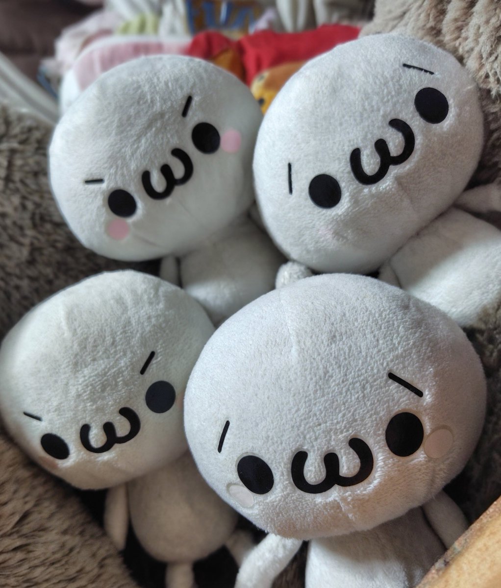 tanucure's tweet photo. byg氏のお席からちょっと斜め下に目をおとすといつでもこいつらがw https://t.co/B4fHzrUVeA