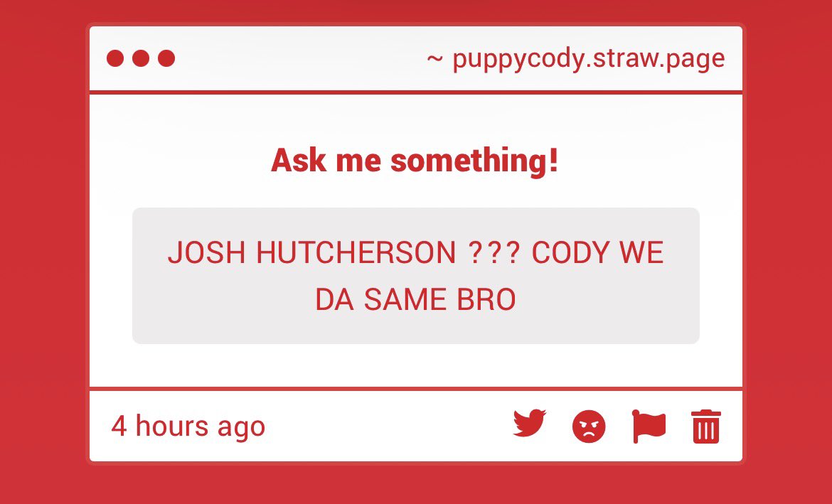 Cody🐾🦈 tweet media