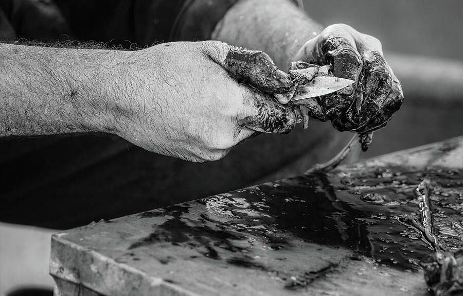 joancarroll's tweet photo. Cleaning Squid in Greece BW! https://t.co/T6zeHGznCB #fisherman #hands #stained #ink #squid #greece #greek #fishing #cleaning #seafood #buyart #wallart #artforsale #artstore #travel #travelphotography #wallartforsale #giftideas @joancarroll #blackandwhite #blackandwhitephotography