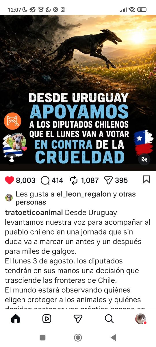 Chilena9772's tweet photo. #NoALasCarrerasDeGalgos
#NoAlMaltratoAnimal
En #Chile no queremos crueldad contra los animales 📣📣📣👇🏻 https://t.co/oESw6pJDA9