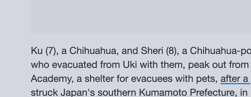 jaeseem's tweet photo. these 2 dogs literally survived from Japan's earthquake and rescued

We have their name on website aswell

LITERALLY THE SURVIVORS https://t.co/eDVcmvof4R