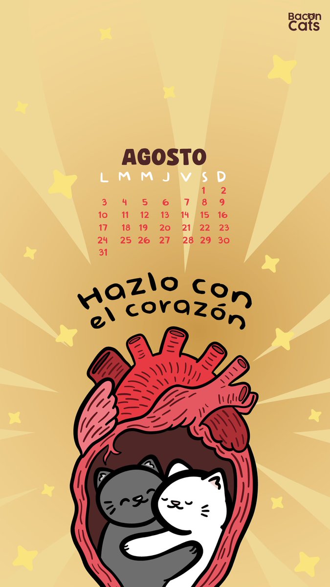 Baconcatsmx's tweet photo. 🙌🏼 ¡Bienvenido agosto! 🙌🏼 
Y con él, llegaron los michicalendarios del mes: 
🐱 Con un michi festivo por el día del gato 
🍃 Con una michi hada por el día de la pachamama
👵🏼 Con un michi abuelito para celebrar a los abuelitos 
🫀 Y con michis motivacionales para darlo todo en esta segunda parte del año 

¡Compártelos con más michi amigos y alégrales el día! ❤️