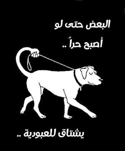 SLantrn tweet picture