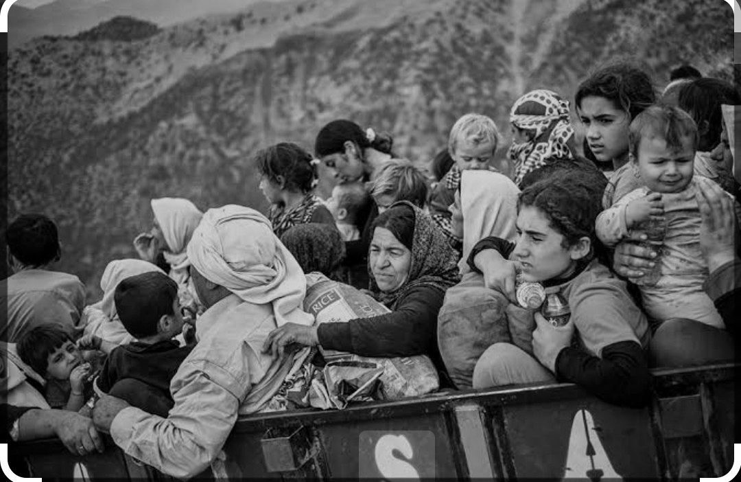 av_ferdisidar's tweet photo. 3 Ağustos 2014
Şengal | Ezidi soykırımının 12. yılı.

Di 3ê Tebaxê de 12 sal di ser Komkujî û qirkirina jinên êzidî de derbas dibin.
Em ê ji bîr nekin û nedin jibîrkirin!

#3êTebaxêJiBîrNekin https://t.co/cMU4cBX0CV