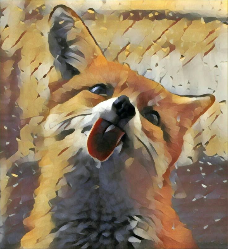 THE ANIMALS tweet media