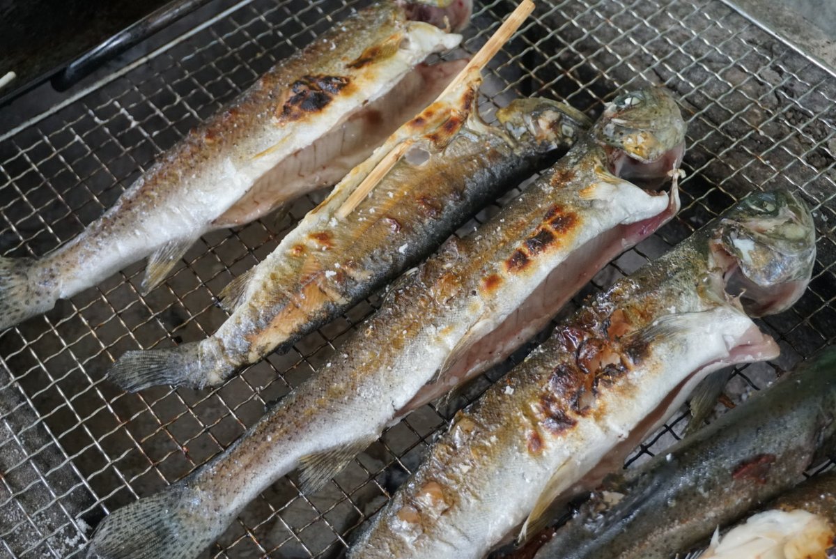 haikineko's tweet photo. ニジマス釣ってきた〜美味く焼けた😋
めっちゃ泳いでたから釣り放題やった笑 https://t.co/5Yz4fgTbmK