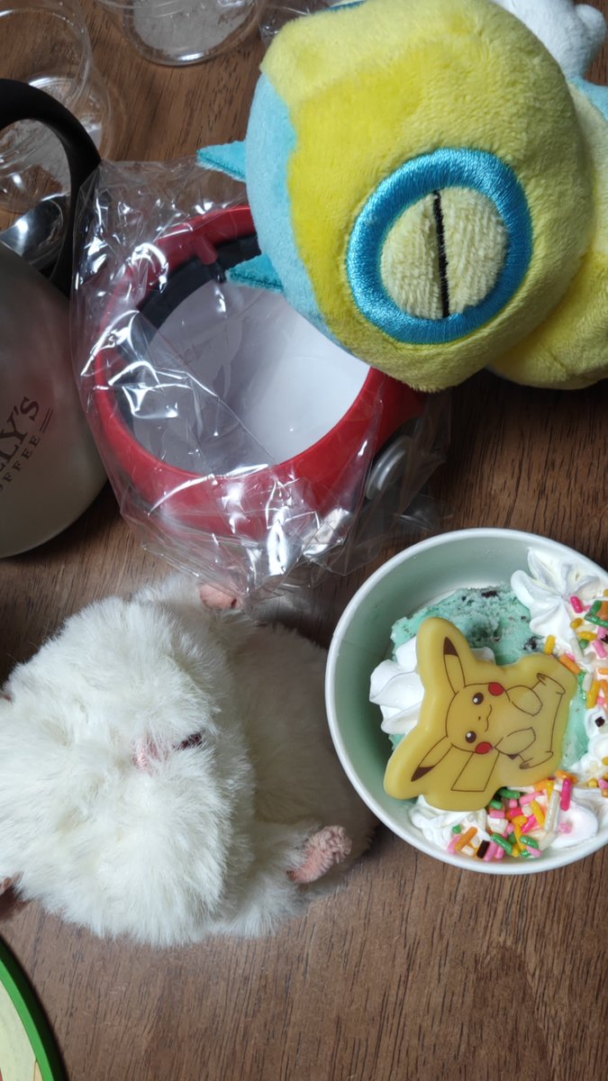 YOGIAKIRA's tweet photo. 母さんがアイス買ってきてくれた〜
かわいい💕
ピカ可愛すぎる💕
チョコミントうまっ✨✨ https://t.co/ls1Nv2ceQK