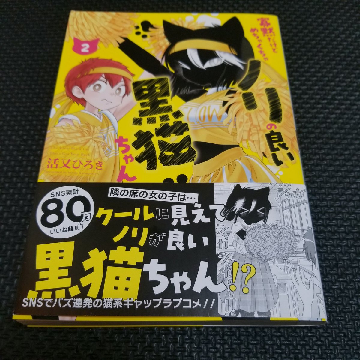 感謝価格(ㅅ´꒳` )黒猫ちゃんと男の子 こんな時間に届くんだねw ドッジ弾子ついにちんこちゃんが表紙なのだー
