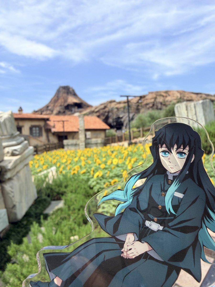 sas__24's tweet photo. 🌻が素敵だったよ〜！ https://t.co/d6bPVbgU91