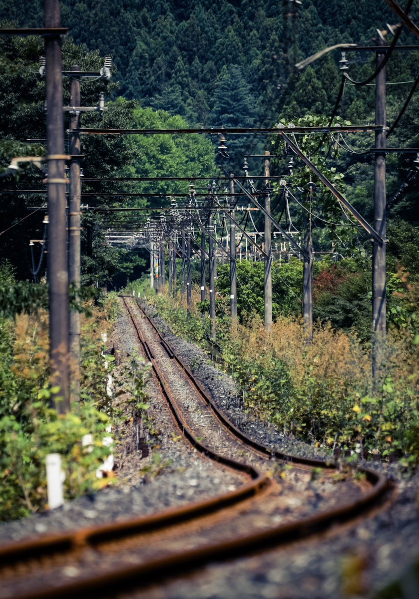 sbkn51's tweet photo. 8/2 
碓氷峠 廃線跡遊歩道

一度やってみたかった横川駅から
途中の峠の湯までのハイキング

要所要所に碓氷峠の歴史を感じながら
歩いてきました。 https://t.co/DHtsBrttK3