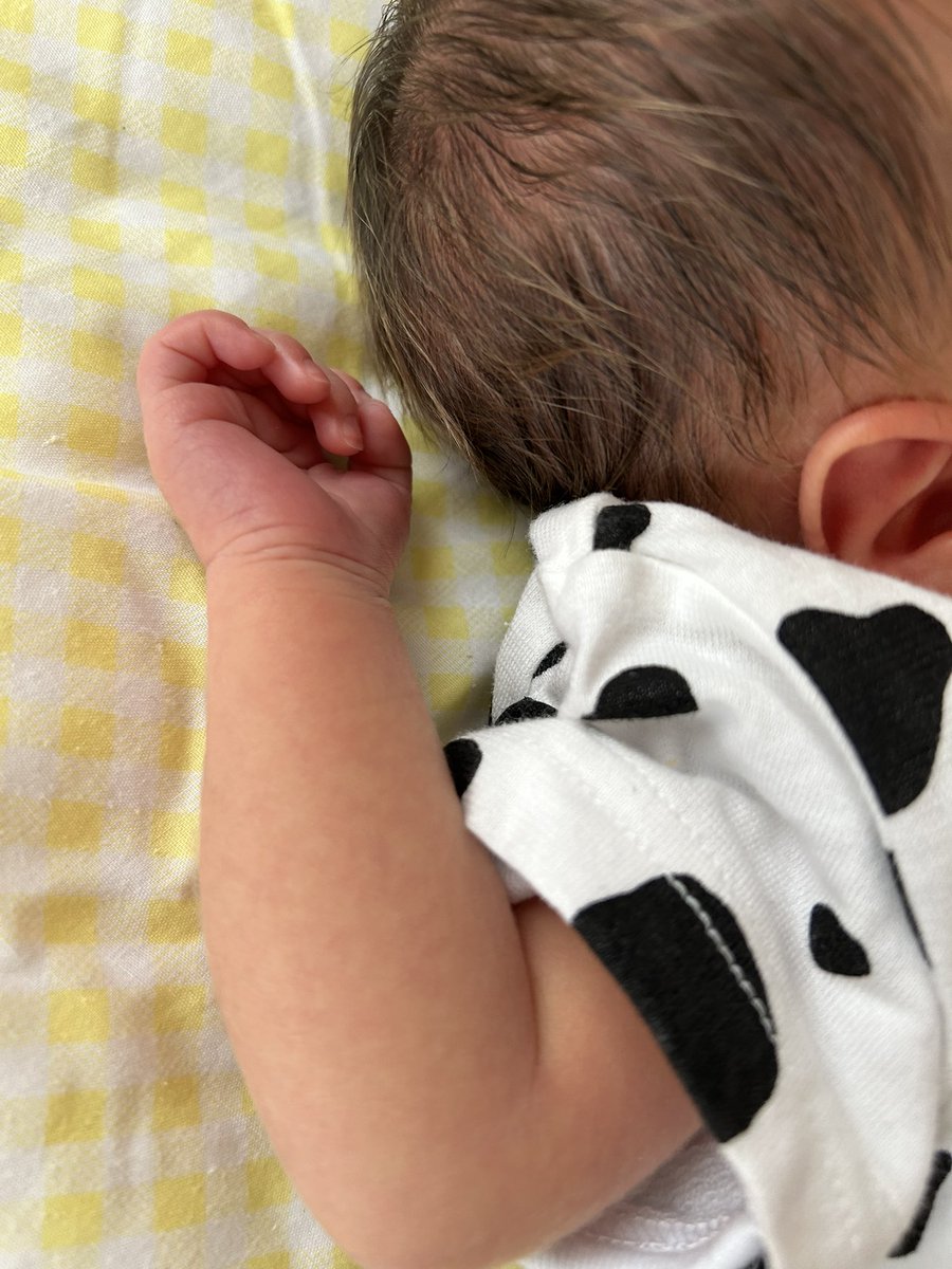 a___minn_'s tweet photo. 癒し👶🩷 https://t.co/SUzOO1ECoC