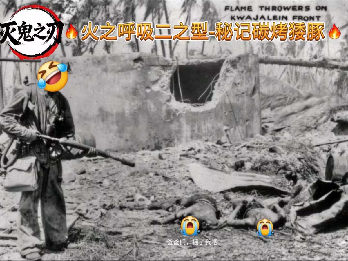 ChineseComradeX's tweet photo. @Cybersheepking @WarriorBunny03 https://t.co/5zrvJrL76l