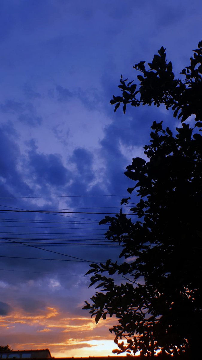 pffilipini's tweet photo. Talvez o que mais me fascine na apreciação das belezas naturais seja o despertar de um profundo juízo estético, embora tais paisagens não pretendam, em si mesmas, transmitir qualquer mensagem. Então, por que um fim de tarde tão belo é capaz de me proporcionar alguma consolação? + https://t.co/JnN75SgLuG