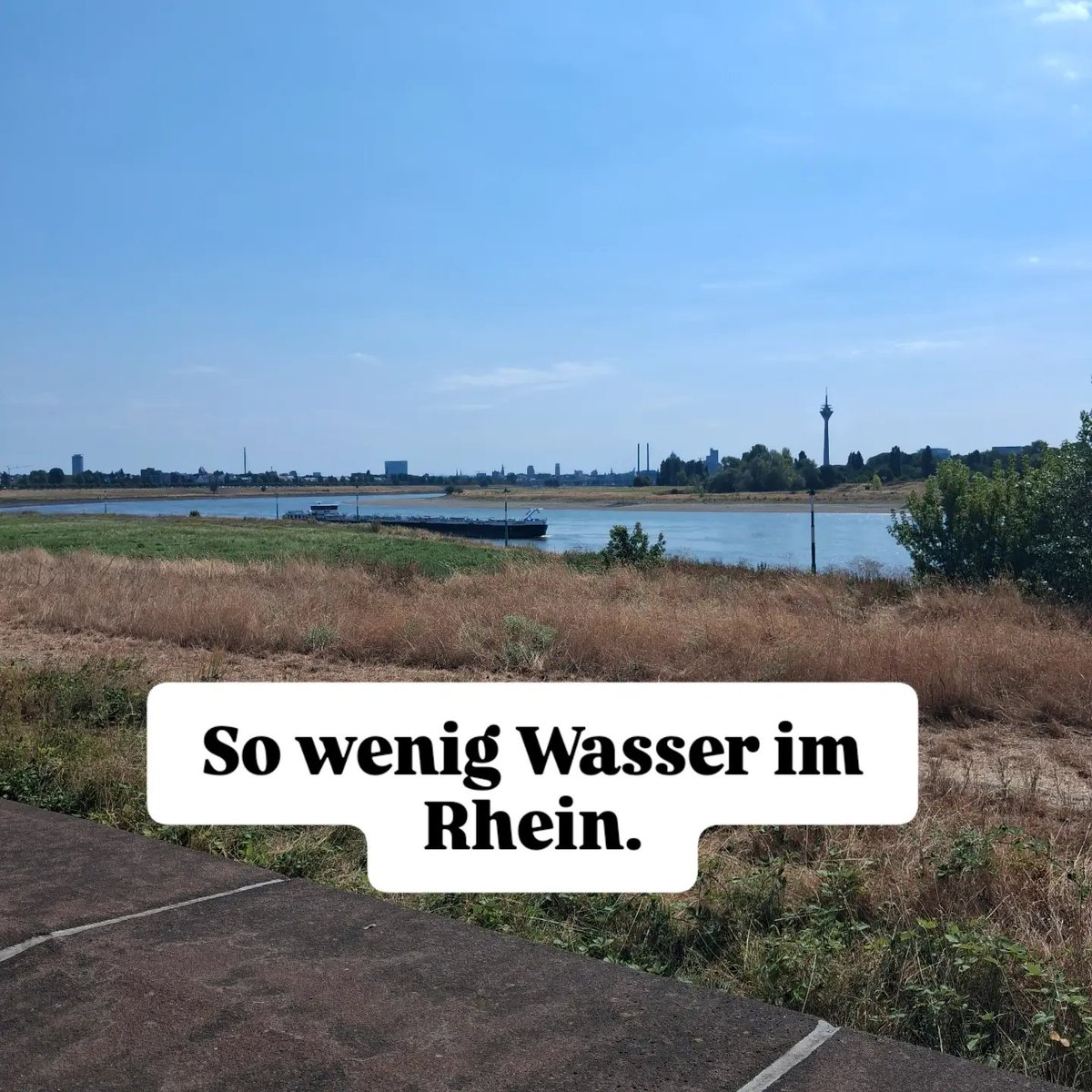 VidahlBianca's tweet photo. Habe ich als Düsseldorferin noch nie gesehen. So wenig Wasser im Rhein. Und ich habe 25 Jahre meines Lebens von meinem Schlafzimmerfenster auf den Rhein geschaut. https://t.co/khGy7lRniI