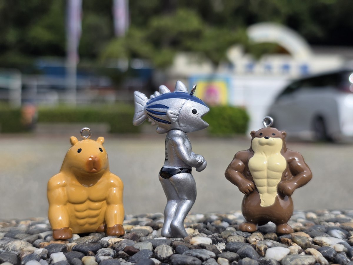 hamasui_shop's tweet photo. ＼人気商品紹介／
しあがってるストラップ
「カピバラ」「カツオ」「カワウソ」各660円(税込)

マリンストアにて大好評販売中！！
＼＼💪🏻  ̖́-力こそ𝑷𝑶𝑾𝑬𝑹💪🏻  ̖́-／／

通販も大歓迎！
※別途送料＋手数料がお客様負担となります。他商品を含むセット購入がお得です！！ https://t.co/nNMUUaseEL