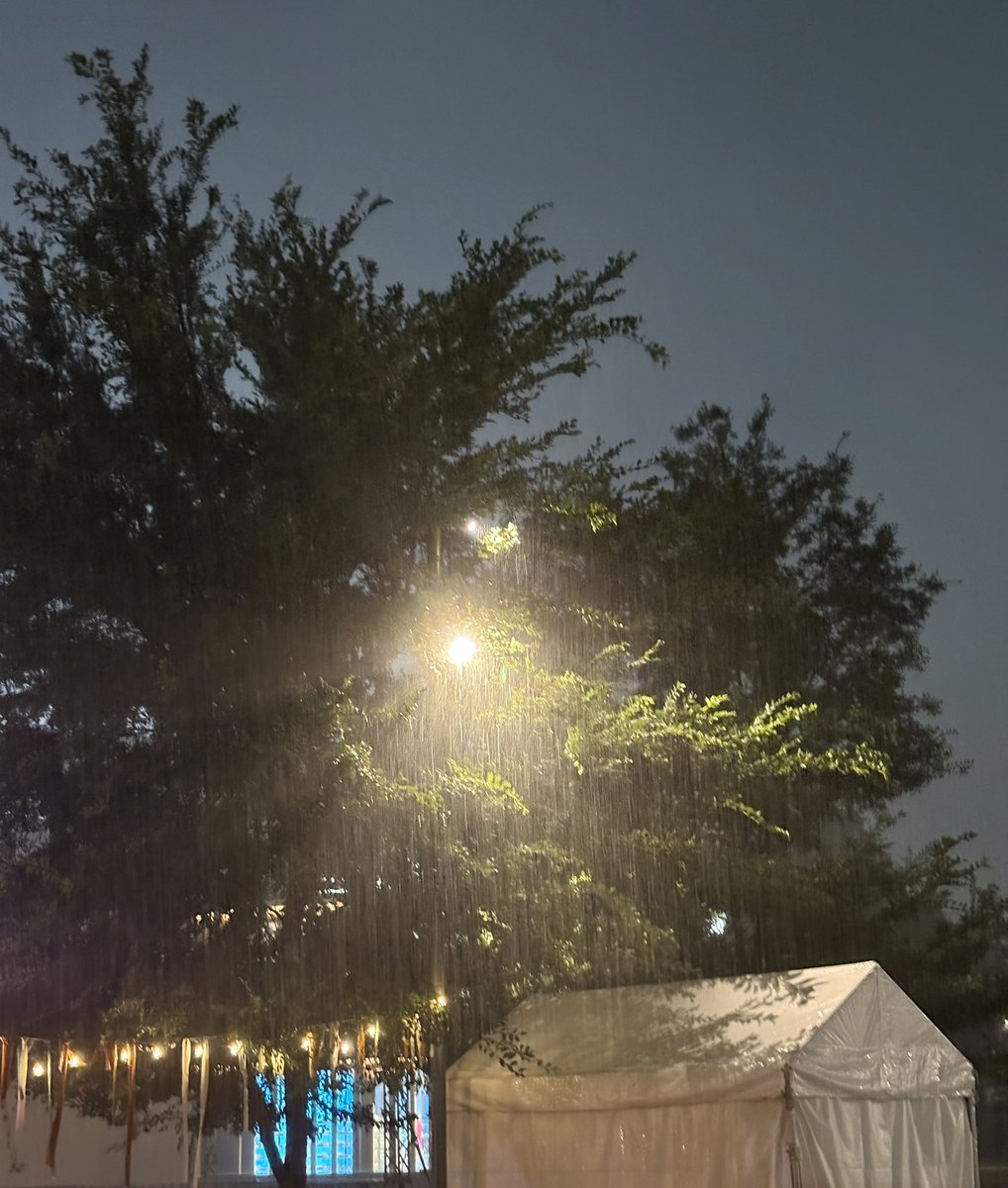 rondpointbag's tweet photo. 急なゲリラ豪雨に2回もみまわれた昨日の明治公園フリーライブ
あんなに降るなんて！の中で奇妙さんの歌声を聴かせてもらえたのは奇跡。20分でまた雨、中止になってしまったけど、嬉しかった。
毎日の暑さで外出しないように籠っている中、外に連れ出してくれた奇妙さんの魅力、やっぱりすごいよね！ https://t.co/LiNMtk3JcI
