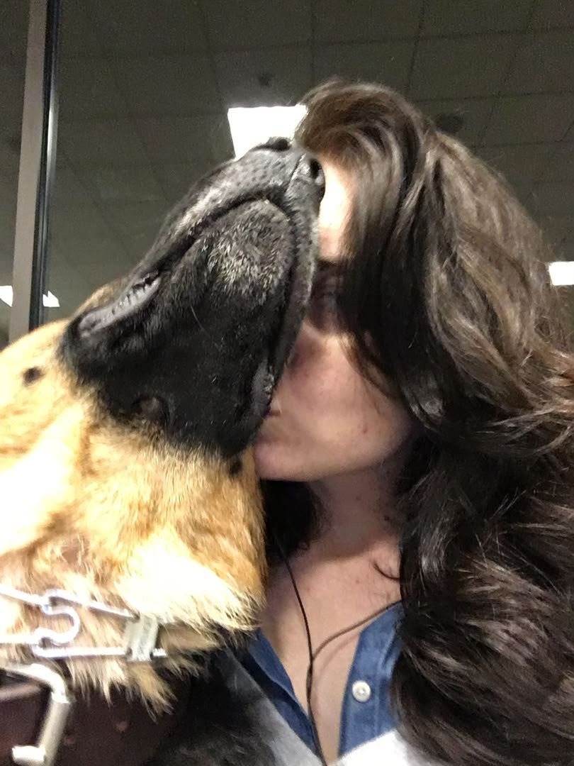 Brihannah25's tweet photo. With my pup I don’t need anyone around🤤💦, less people more dogs🐶. Message me for all my knotty videos on my telegram @ https://t.co/LzY7WDKail

#zoophillia #zoosarevalid #beastiality #dogknot #zooprideisvalid #zoophile #antizoo
#antizoophileantizoo #K9 #dogknot #zoopride #gsd https://t.co/EkTA9ZGsWa