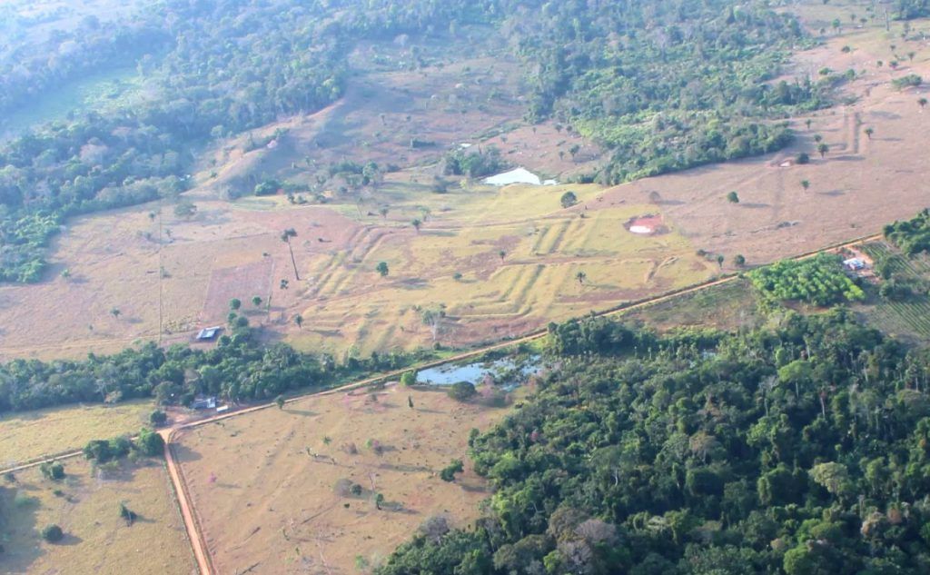 gadgetreview's tweet photo. Airborne LiDAR Reveals Amazon’s Lost Civilization May Have Numbered in the Millions https://t.co/x0ov3OWRmt https://t.co/ZziR3kxU8w