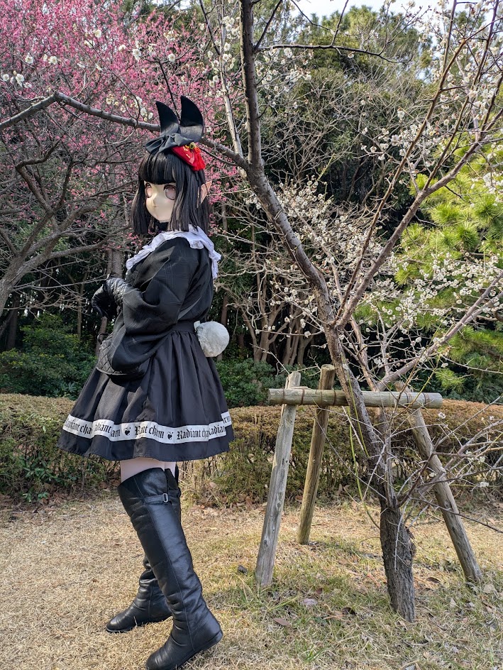 にゃんべる☆Nyanbelle tweet media